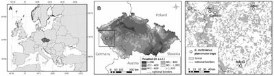 Using ethanol and other lures to monitor invasive ambrosia beetles in endemic populations: case study from the Czech Republic